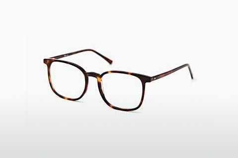 专门设计眼镜 Sur Classics Jona (12522 havana)