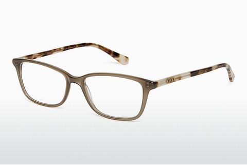 Eyewear Ted Baker 399162 301