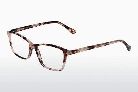 Eyewear Ted Baker 399235 561