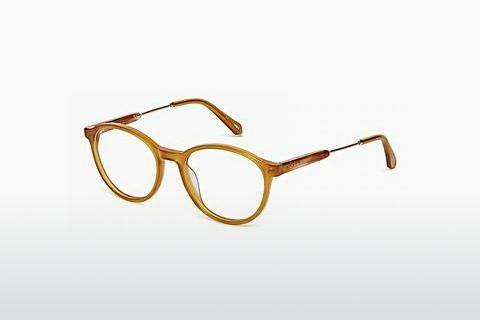 Glasses Ted Baker 8228 330