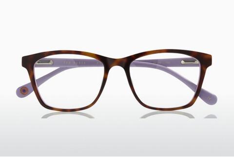 Brille Ted Baker B954 719