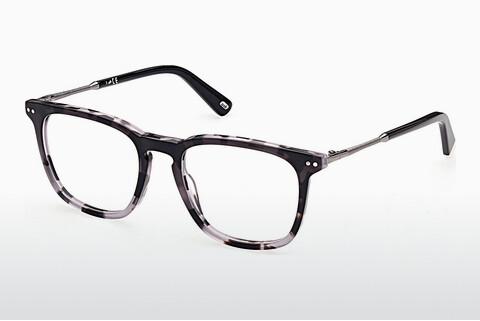 Očala Web Eyewear WE5349 005