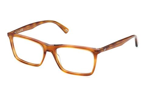 Bril Web Eyewear WE5374 053
