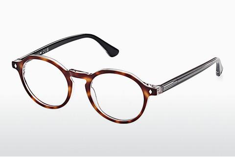 Glasögon Web Eyewear WE5440 056