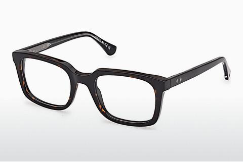 Eyewear Web Eyewear WE5445 056