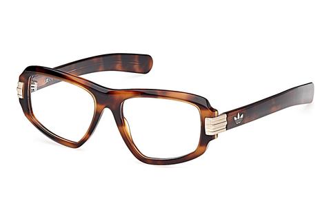 Eyewear Adidas Originals OR5104 052