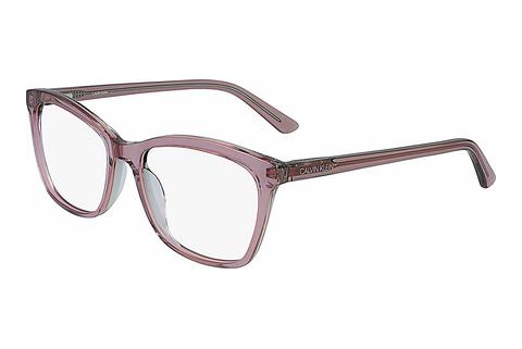 Gafas de diseño Calvin Klein CK19529 535