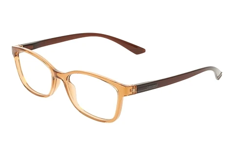 Prillid Calvin Klein CK23525N 209