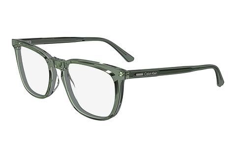 Glasögon Calvin Klein CK24519 300