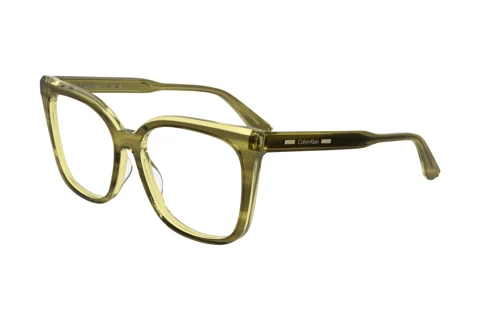 Glasögon Calvin Klein CK25511 N 317
