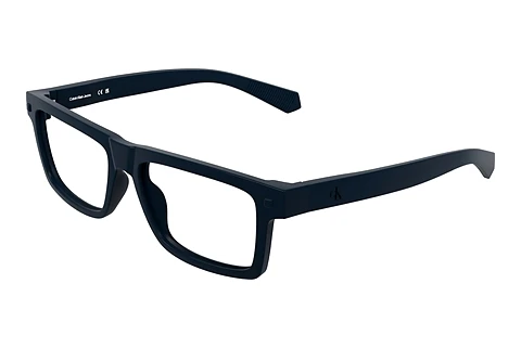 Prillid Calvin Klein CKJ25629 400