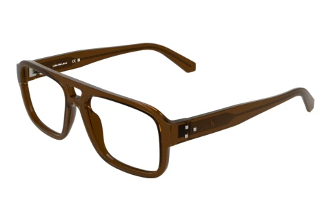 Glasögon Calvin Klein CKJ26634 210