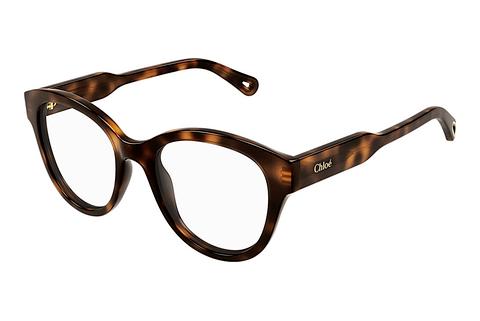 Brille Chloé CH0163O 002