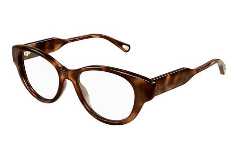 Brille Chloé CH0199O 008