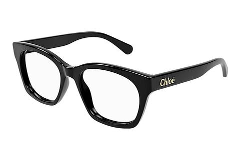 Akiniai Chloé CH0244O 001