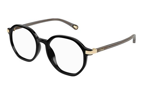 Brille Chloé CH0249OA 001