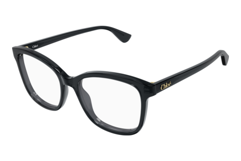 Eyewear Chloé CH0393O 001