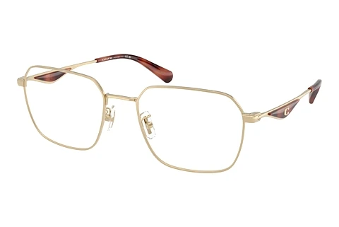 Prillid Coach HC5186 9005