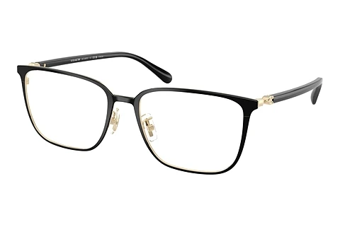 Akiniai Coach HC5195TD 9344