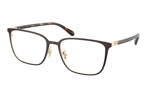 Eyewear Coach HC5195TD 9476