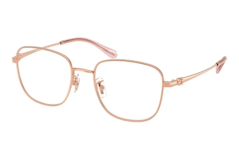 Akiniai Coach HC5198TD 9407