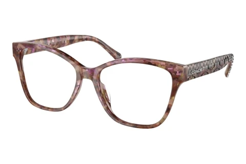 Eyewear Coach HC6207U 5739
