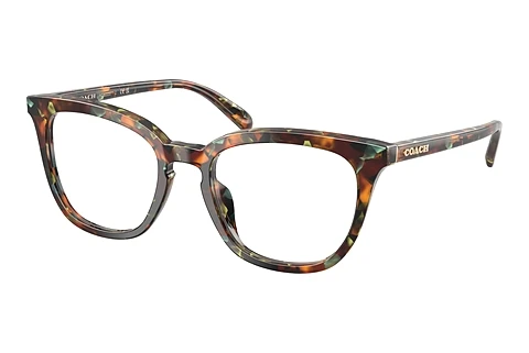 Rame Ochelari Coach HC6222U 5844