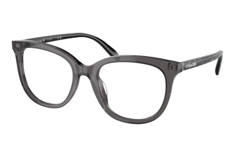 Eyewear Coach HC6223U 5785