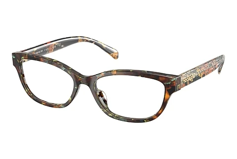 Rame Ochelari Coach HC6250U 5844