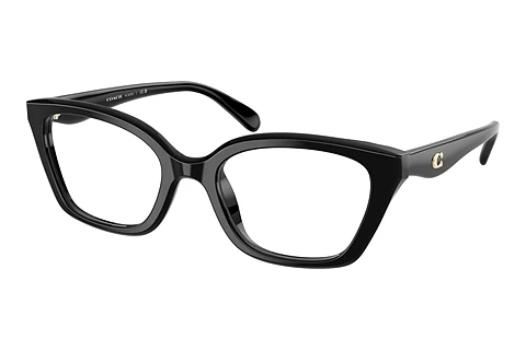 brille Coach HC6270U 5002