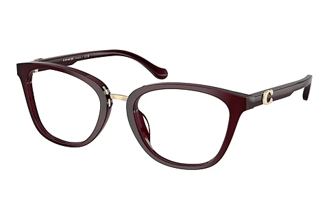 Eyewear Coach HC6272U 5915