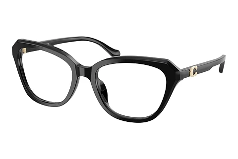 Naočale Coach HC6273U 5002