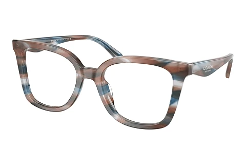 Brilles Coach HC6274U 5899