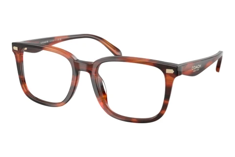 Brilles Coach HC6276U 5906