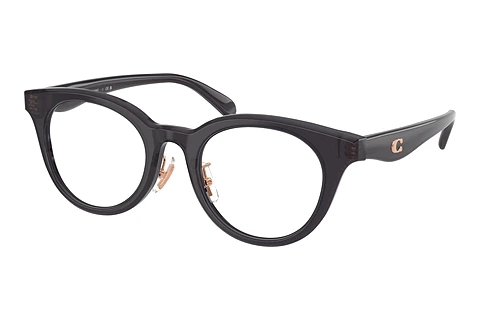 Brilles Coach HC6280D 5104