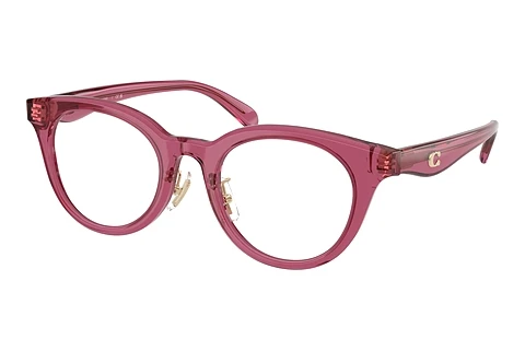 Brilles Coach HC6280D 5824