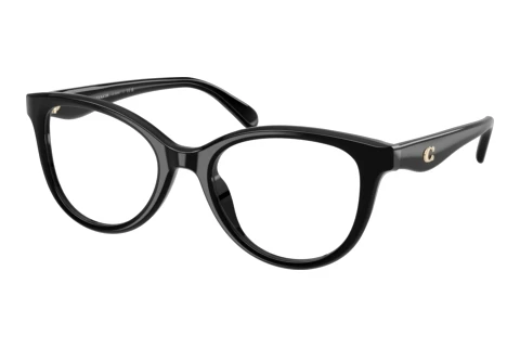Eyewear Coach HC6284U 5002