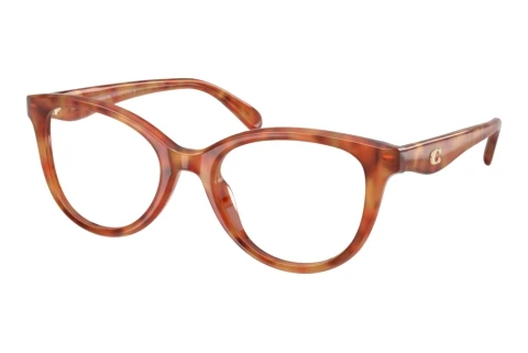 Eyewear Coach HC6284U 5774