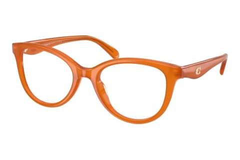 Eyewear Coach HC6284U 5930