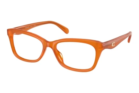 Eyewear Coach HC6285U 5930