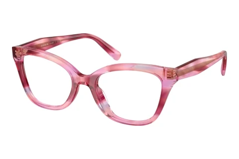 Eyewear Coach HC6290U 5941