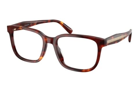 Eyewear Coach HC6291U 5938