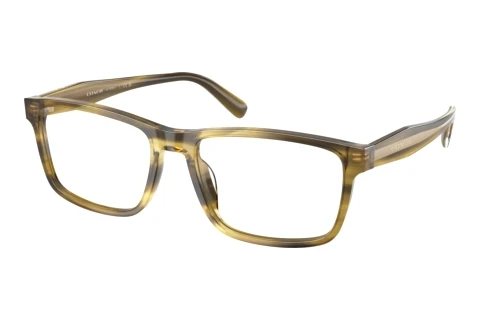 Eyewear Coach HC6292U 5945