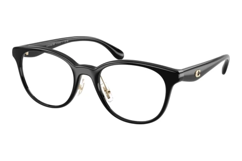 Eyewear Coach HC6294D 5002