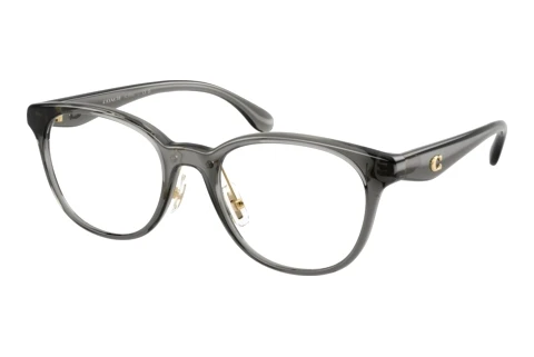 Eyewear Coach HC6294D 5104