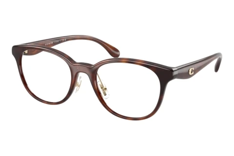 Eyewear Coach HC6294D 5120