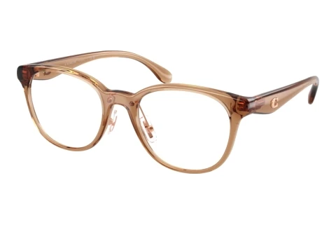 Eyewear Coach HC6294D 5948