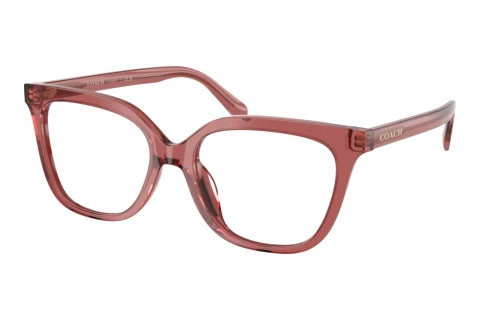 Rame Ochelari Coach HC6302U 5961