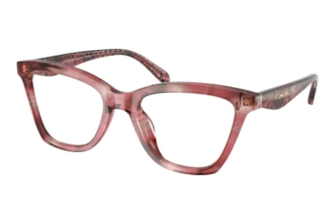 Rame Ochelari Coach HC6306U 5964