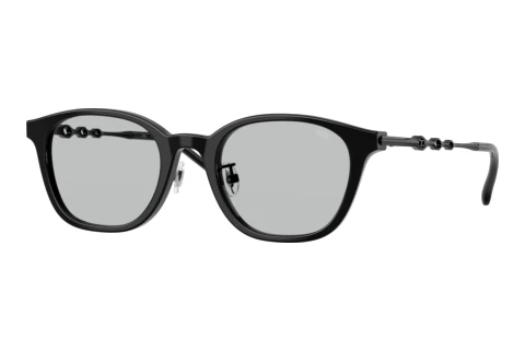Eyewear Diesel DL4013D 2064